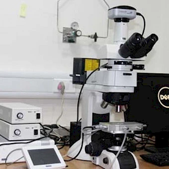 Optical Microscopy Laboratory