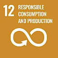 Shiv Nadar IoE SDG 12: Responsible Consumption and Production
