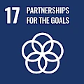 Shiv Nadar IoE SDG 17: Partnerships for the Goals